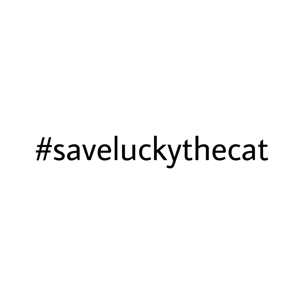 The creator who activly talks about this case: @lucille #saveluckythecat