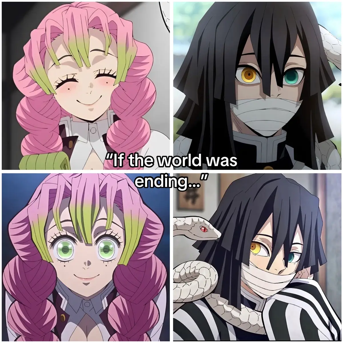 Why did they have to die 😭☹️💔 #MITSURI #OBANAI #mitsuri #mitsurukanroji #obanai #obanaiiguro #obamitsu #demonslayer #kimetsunoyaiba #kny #anime #diewithasmile #fyp #fypツ #viral 