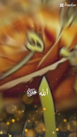 #CapCut #foryou page 🥰🥰🥰 masha'Allah 