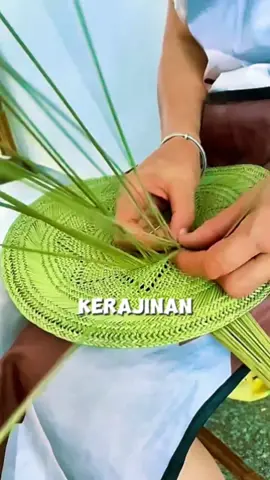 Dari sebuah tanaman ini lahirlah sebuah kerajinan tangan yang kreatif #fyp #trending #viral #reels #shorts #vod #fbpro #facebookpro #pemula #pertanian #agriculture #farming #perkebunan #kebun #gardening #garden #harvesting #kerajinan #kreatif #idekreatif #ide 