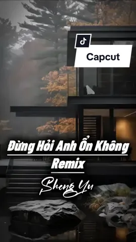 Đừng Hỏi Em Ổn Không Remix 2 Ảnh #nhachaymoingay #盛宇shengyu #CapCut #capcutmaster #xuhuong 