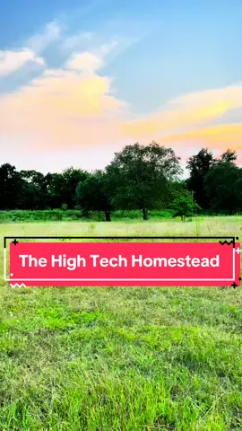 #homestead #garden #traditional #Tech 