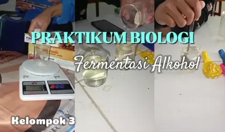 Laporan Praktikum Biologi  Fermentasi Alkohol Anggota :  Elmadina Humaira (10)  Mariska Eltari Novianti (19)  Winda Lestari (35) 