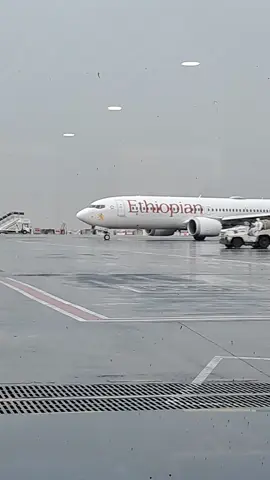 Ethiopian Airline 🇪🇹 ❤️ on Addis Ababa Bole  International Airport #ethiopiaairlines🇪🇹 #ethiopian_tik_tok #boing737 #ethiopianpilot 
