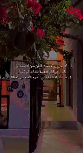 #المدينه_المنورة  #مساء_الحب_والسعاده_متابعيني💕 #اكسبلور_فولو #السعب_الصيني_ماله_حل 