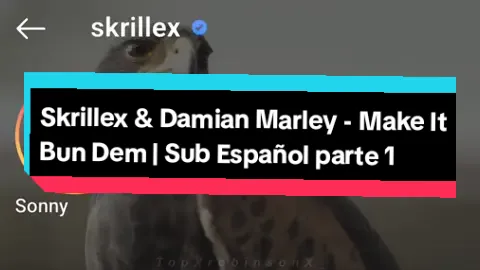 Skrillex & Damian 