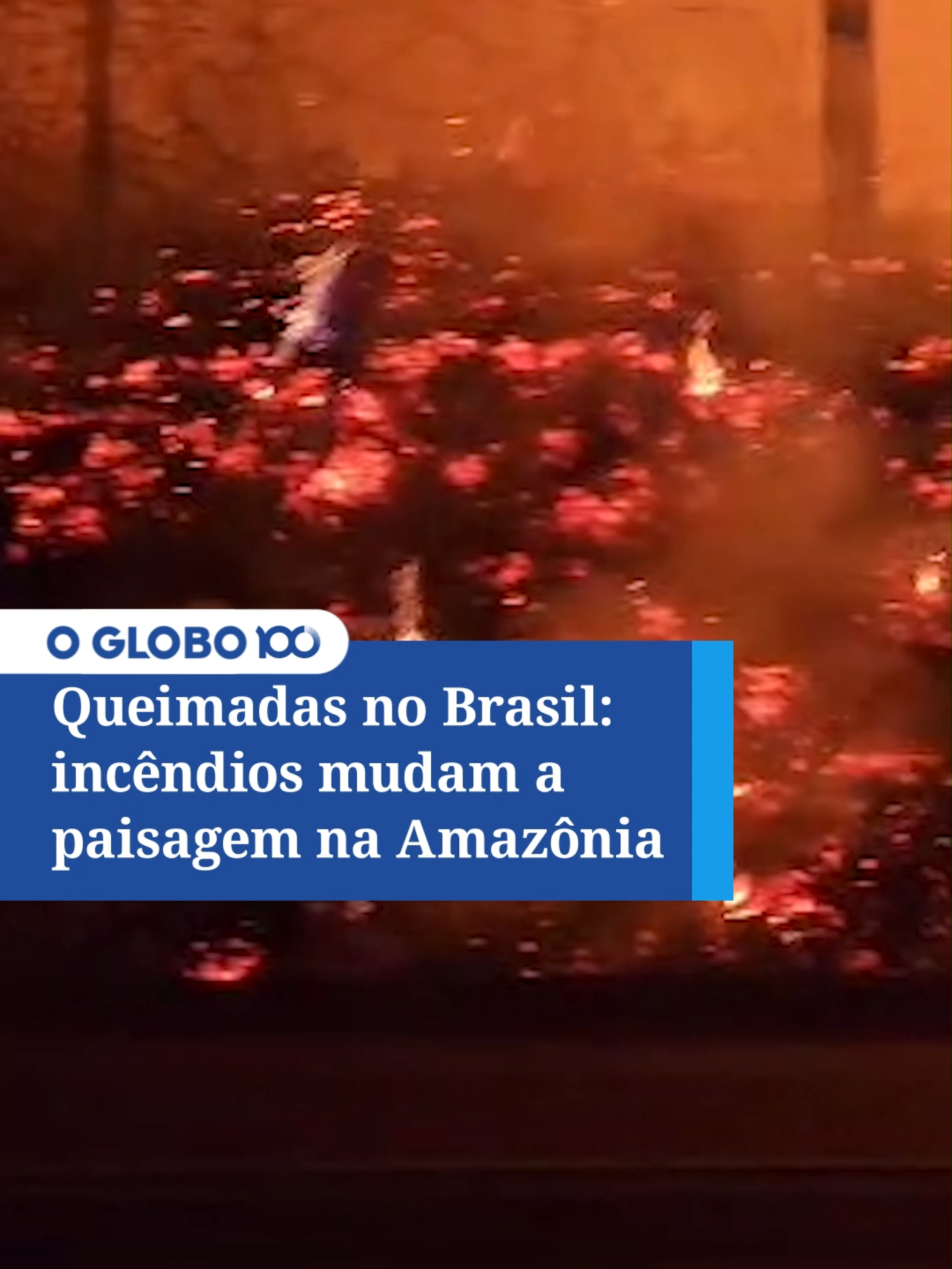 QUEIMADAS NO BRASIL | A imagem de um tronco queimado de castanheira, a árvore rainha da Amazônia, em meio à terra fumegante virou paisagem constante ao longo das rodovias que cortam o bioma. Com mais de 82 mil focos de incêndio de 1º de janeiro a 9 setembro deste ano, a Amazônia já alcançou o dobro de queimadas no mesmo período de 2023 e o recorde da série histórica desde 2007, quando registrou 85 mil pontos de fogo. #jornaloglobo #TikTokNews #TikTokNoticias #Queimadas #queimadasbrasil #Amazonia