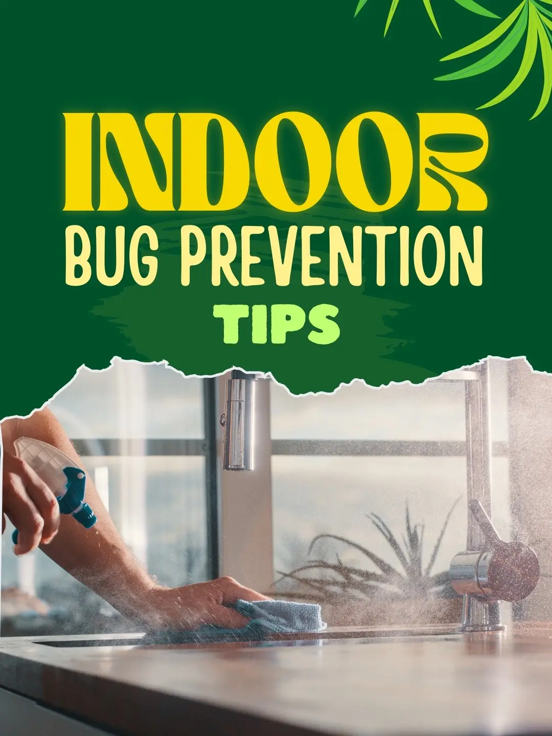 Did you know keeping plants around can help with flies and other bugs? Ever since I started using indoor plants like basil and lavender, I’ve noticed way fewer flies in my home! I’ve got some awesome indoor bug prevention tips to share, including how to use essential oils and other eco-friendly hacks to keep your home clean and pest-free. Want to learn more? Let’s dive in and keep those bugs away naturally!  💛 Read the full post on my blog:) Link in bio 🔍 DIY  #NaturalBugRepellent #PlantHacks #EcoFriendlyTips #CleanLiving #HomeHacks #DIYHomeProjects 