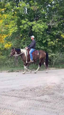 Told yall he was a good boy. Just wanted to make me look stupid infront of my mom lol 😅😂 #horse #horses #horseriding #horsebackriding #equestrian #equestrianlife #riding #western #cowboys #native #fypシ゚viral #foryoupageシ #foryouシ #fypage #fyp #SouthDakota 