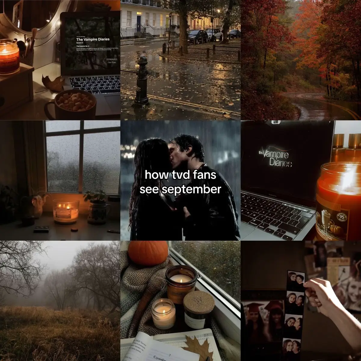 autumn is for tvd rewatches lets be clear #fallseason #thevampirediaries #tvd #tvdu #mysticfalls #covingtongeorgia #thevampirediariesedit #tvdedit #damonsalvatore #elenagilbert #delena #iansomerhalder #tvdconvention #tvdaesthetic 