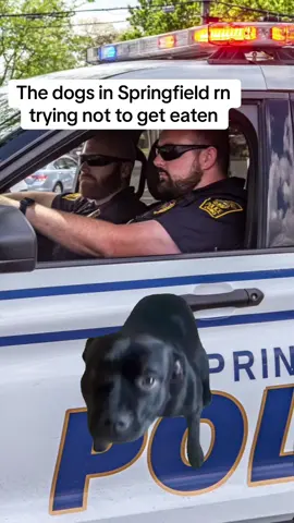 I had to guys🤣#Meme #MemeCut #CapCut #copsoftiktok #police #lawenforcement #funnyvideos #springfield 