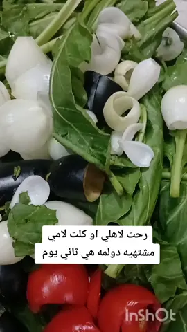 #خطار #بيت الاهل#امي الغاليه#دولمه# غداء #لمات الاهل #حبايب #dnaworldtour #CapCut 