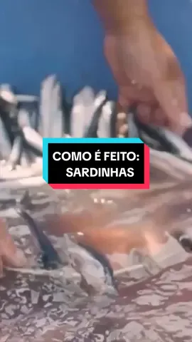 Já viu como é feito as SARDINHAS? #curiosidades #comida #receita #trabalho #mar #divertido #tecnologia 