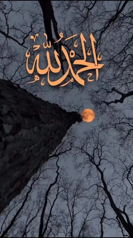 #الحمدالله#دائما وابد#🧡