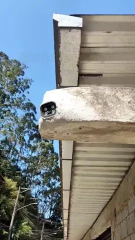Se não manja de blindagem rústica, não estrague meu negócio!#evisatecnologia #segurancaeletronica #cftv #cctv 