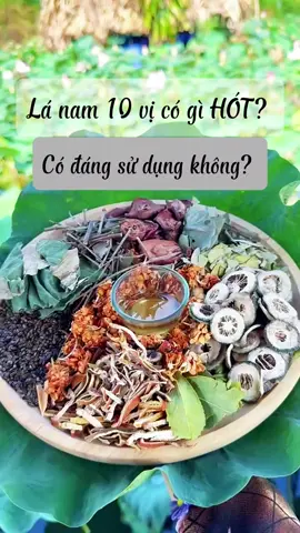 Lá nam 10 vị có gì hót Có đáng sử dụng hay không #xuhuong #trending #hophuongsuckhoe #thuonamgiatruyenvn 