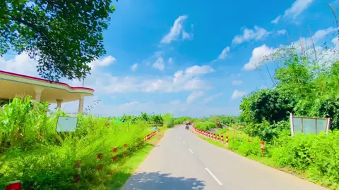 চলনা উড়ি হয়েছি ঘুড়ি 🪁🌸 #foryou #foryoupage #fypシ゚viral #tiktok #tiktokviral 