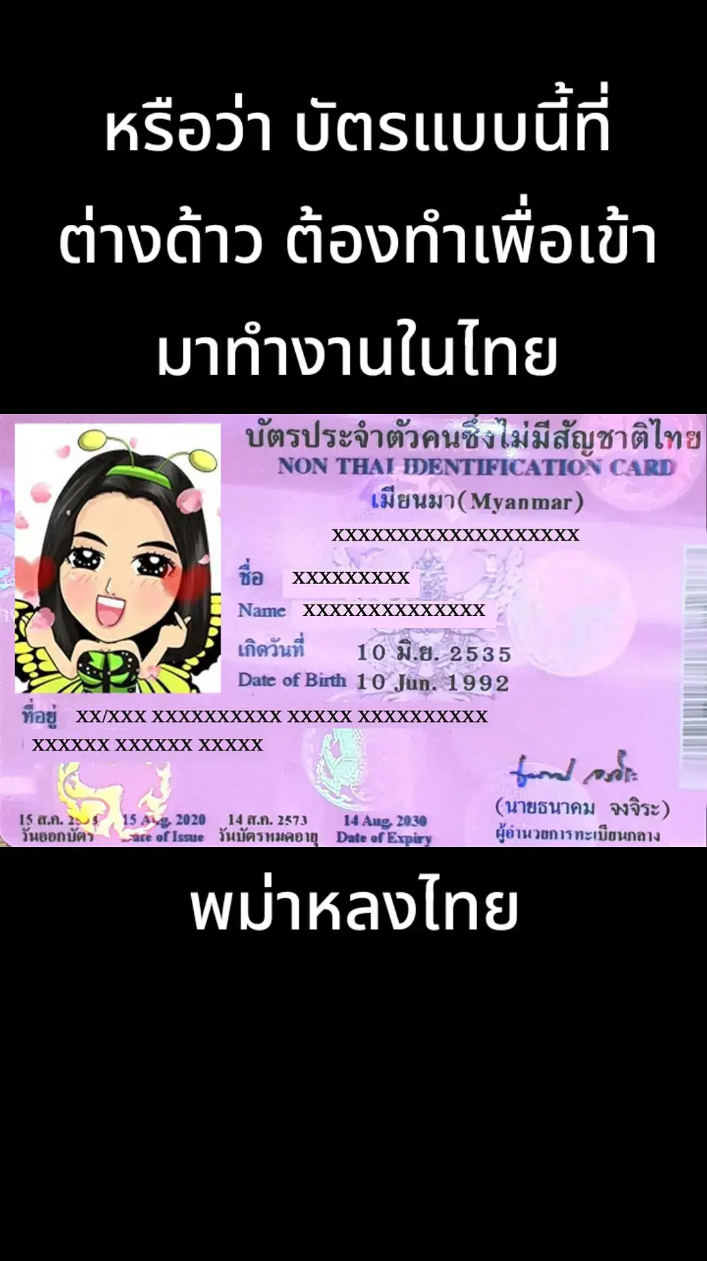 #พม่าหลงไทย #พม่า #กลุ่มชาติพันธุ์ #แรงงาน #พรรคเพื่อไทย 