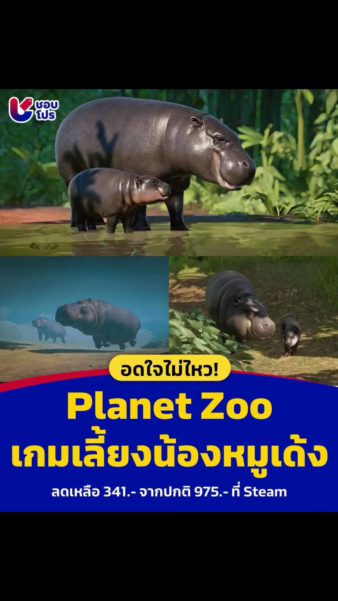 💖🦛 อดใจไม่ไหว! Planet Zoo เกมเลี้ยงน้องหมูเด้ง ลดเหลือ 341 บาท จากปกติ 975 บาท!! 💭 ใครอยากเจอน้องหมูเด้งมาทางนี้เลย เพราะแอดไปเจอเกมที่ทำให้เราได้เจอน้องเหมือนตัวเป็น ๆ กับเกม “Planet Zoo” ในตำนาน บอกเลยว่าในเกมนี้เขาก็มีน้องหมูเด้งให้เราเลี้ยงด้วยนะ ก็คือมีทั้งน้องหมูเด้งและแม่มะลิเลย แถมตอนนี้เกมเขากำลังลดราคาอยู่ด้วยนะ รีบจัดกันด่วนเลย 📍พิกัดเกม Planet Zoo  ขอขอบคุณรูปภาพจาก : Steam #ShobPro #ชอบโปร #น้องหมูเด้ง #planetzoo 