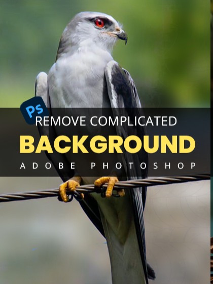 Remove Complicated Background in Photoshop! #photoshop #tutorial #design #graphicdesign #photography #adobe #adobephotoshop #foryou #viraltiktok #LearnOnTikTok