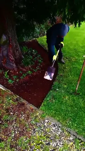 Work creates wonderful people.#unitedstates #satisfying #asmr #cleanhouse #gardening #rugwashing #clrcleaner #treehouse #clean #fyp #foryou #cleaninghacks #cleaning #carpetcleaning #usa #nature