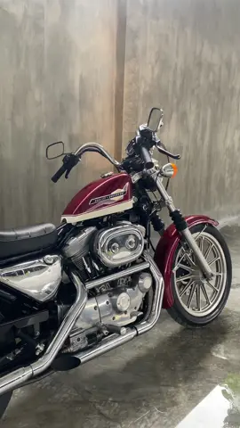 sound therapy again #xlh883 #xlh883sound #xl883 #motorcycle #harley  #sportster 