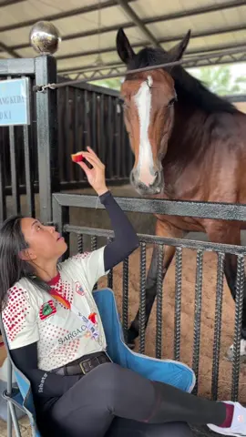 sharing is caring 🥰 and i dont mind sharing every bit of apple with you 🍎 #equestrian #horsegirl #berkuda #jakartadatangjakartamenang #horses #fyp #foryourpage #indoequestrian #equinelife 