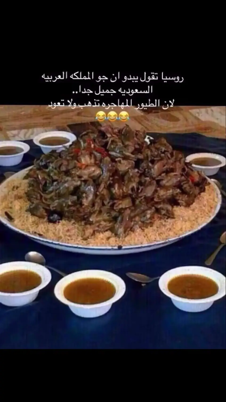 #الشعب_الصيني_ماله_حل😂😂 #هاشتاق #هاشتاق #الطيور_المهاجرة 