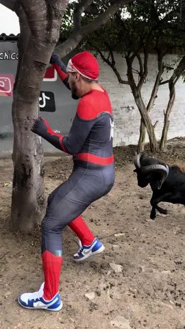 Apresentamos o Homem-Aranha