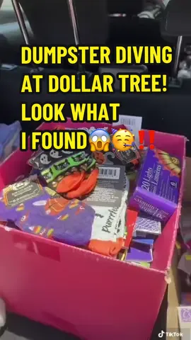 Found so much stuff Dumpster Diving at Dollar Tree😱😱😱 so much books and halloween items🥳‼️ #dumpsterdive #dumpsterdivers #dumpsterdivefinds #dollartreefinds #dollartree #usa #fyp #meldidumpsterdive 