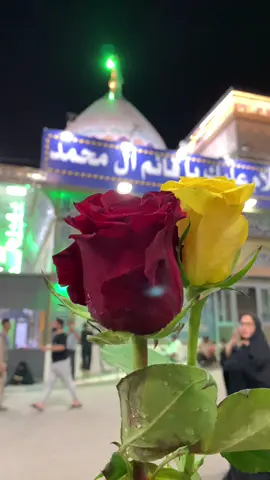 في جوف كل ابتلاء تتويج ينتظرك وقلوب شيعتك ياعلي قد امتلئت فرحا بفرحة الزهراء بتتويج الامام المهدي ♥️ #تتويج_الإمام_المهدي #متباركين🌷🕊 #ياصاحب_الزمان_ادركنا #كربلاء_مدينة_العشق_والعاشقين #313 