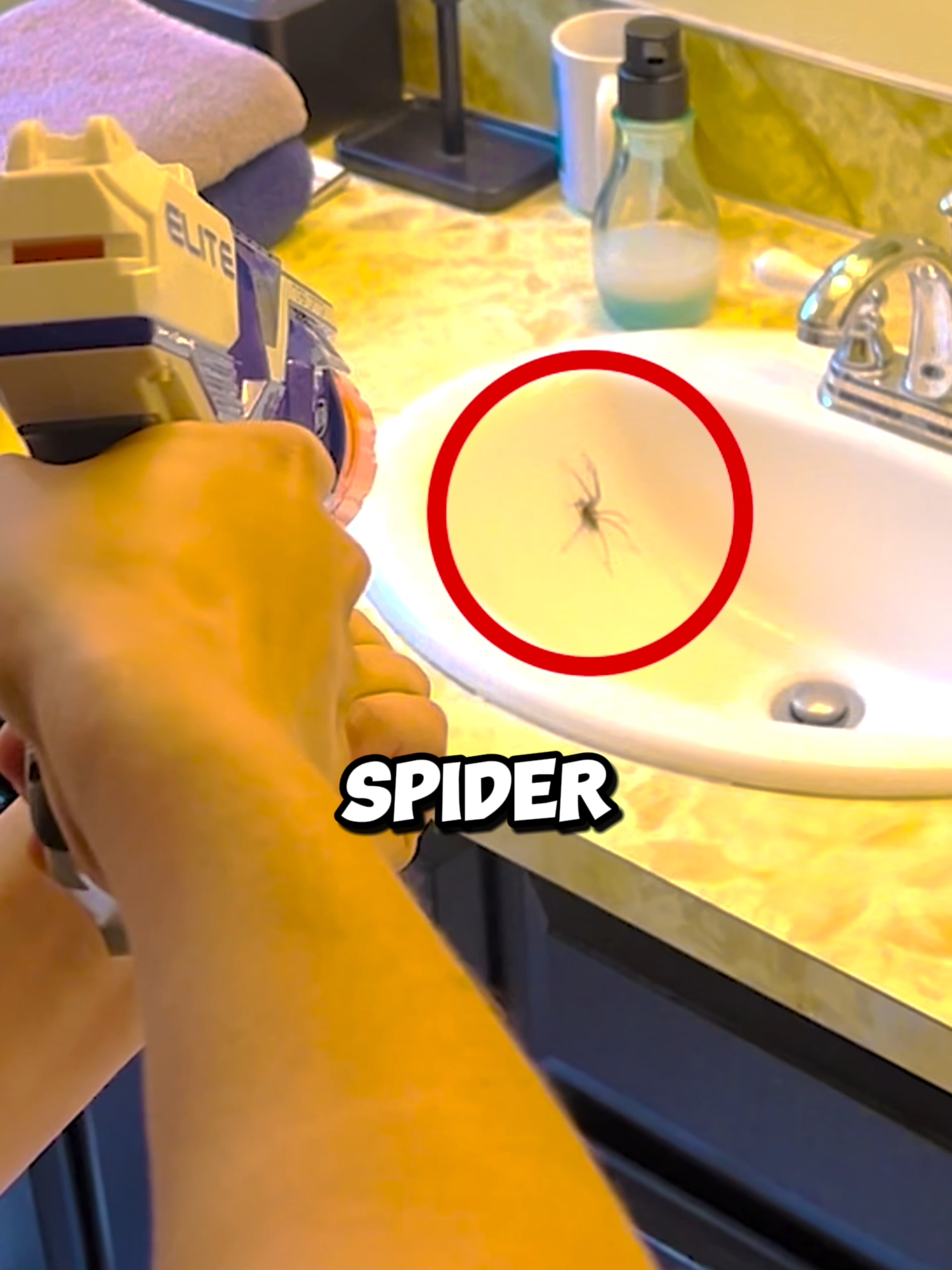 Family Freaks out and shoots Huge Spider with Nerf Gun! (📸: @celestehowie)