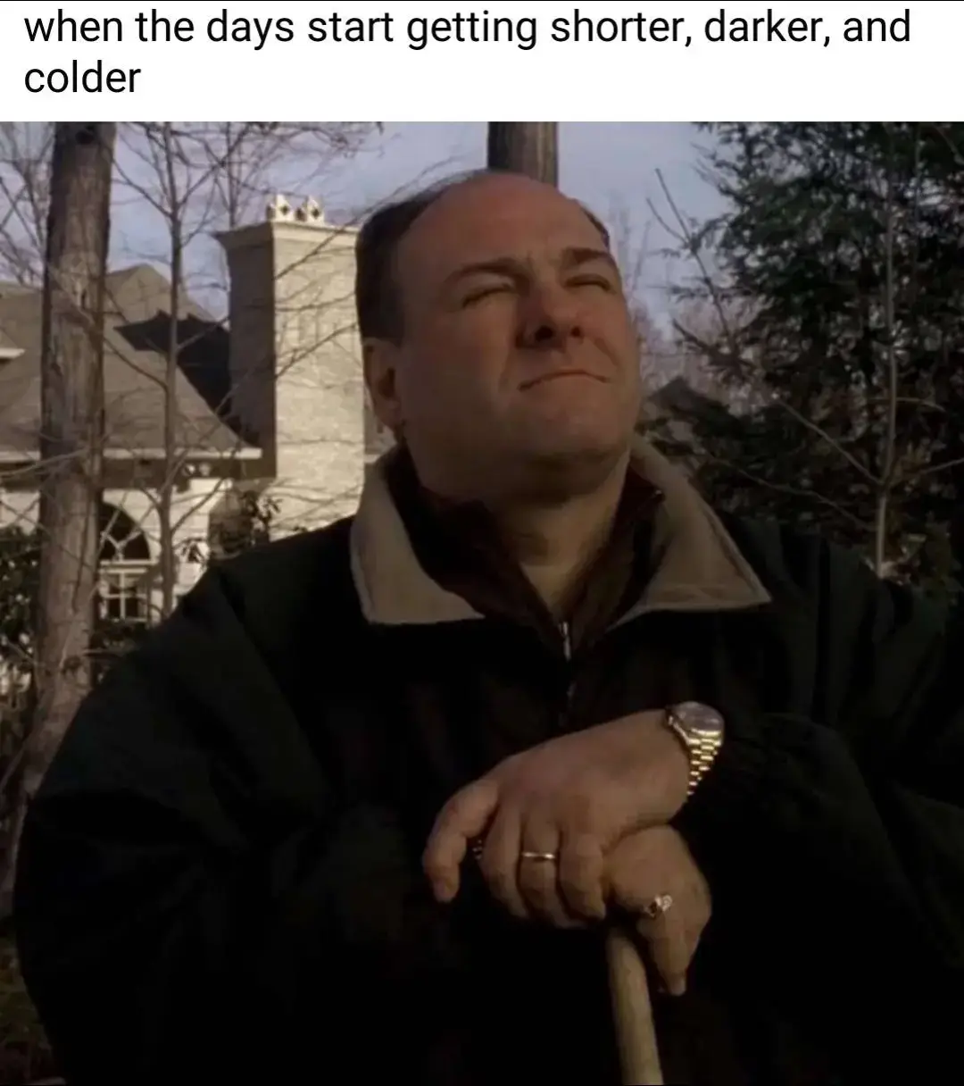 real sh #fy #fyp #thesopranos #tonysoprano 