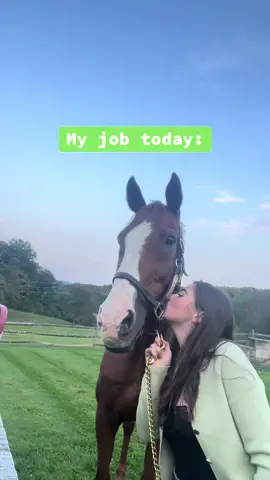Am I a horse girl now? #horse #horses #filmtok #productionassistant #production #movienight #moviemaking 