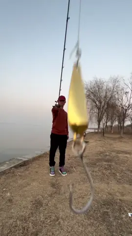 Câu cá lure đỉnh nhất Việt Nam #xuhuongtiktok #xuhướng #xu #cauca #cancau #luresfishing #lure