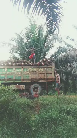 pekerja keras #anaklombok 