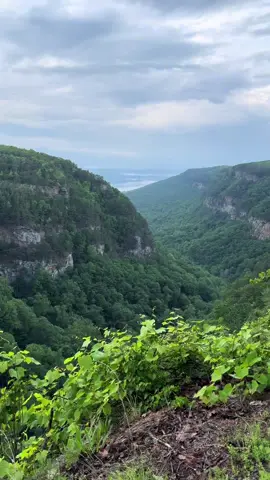 #HiddenGems #TikTokTravelCampaign Ultimate waterfall hiking adventure to Georgia’s hidden gems at Cloudland Canyon State Park. A waterfall paradise in the Georgia mountains! Here’s a look from my POV at my hike and adventure to both Cherokee Falls and Hemlock Falls. Secluded waterfalls on Lookout Mountain.