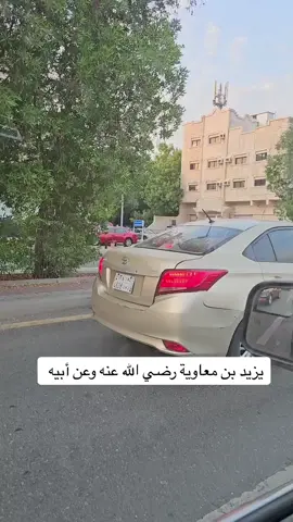 #tik_tok #يزيد_بن_معاوية #أميرالامؤمنين #محمد_بن_سلمان_فخرنا_وعزنا #السعودية_العظمى🇸🇦 