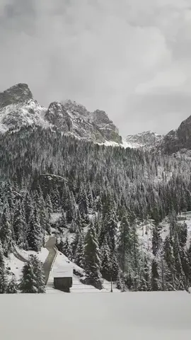 La magia continua..🏔️🇮🇹❤️#neve #snow #winter #nevica #dolomiti #stupore #epic #dream   #Summer #trentino #altoadige #italia #montagna #italy #nature #mountain #naturelover #mountainlover #sky #clouds #skyline #Outdoors #peaks #summit #imagination #magic #hike #trekking #climbing #photography #photomagic #photo #cinamatic #sunset #tramonto #italy #viaferrata #fyp #bestplace #discover #hiker #sudtirol #landscapephotography #landscape #travel #trip #awesome #amazingview #reels #emotions #vibes #breathless #travelitaly #emozioni #enchanting   #sun #wonderlust   #overthetop #sunrise #camping #naturephotography #naturecolors #naturephotography #surreal #alba #passione #foto #fotografia #mountainwalks #dolomites #sunrise #berg #wandern #weg #natur #landshaft #paysage #randonee #montagne #nature #naturaleza #senderismo #paisaje #sunrise #sonnenaufgang #sonnen #sonnenuntergang #atardecer #amanecer #veneto #sunset   #summervibes #summertime #dolomitiemotions #hikingtiktok #unesco #sudtirol #traveler #fyp #adventure #outdooradventures #heavendoor #timetravel #summerlooks #bestday #summerlooks #timetravel #outdooradventures #fyp #traveler #sudtirol #hikingtiktok #heavendoor #sudtirol   #dolomitiemotions #unesco #altoadige #belluno #cortina #novaponente #lake #trecimedilavaredo #belluno #cortina #breathtakingviews #bucketlisttravel #eurotrip #exploretheworld #itinerary #adventuretravel #italiandolomites   #karersee #latemar #bolzano🇮🇹 #bozen #roamtheplanet #higher #climbs #itinerary #scenery #adventuretravel #eurotrip #exploreitaly #exploretheworld #belluno #cortina #trecimedilavaredo #bozen #bucketlisttravel #breathtakingviews #breathtakingviews #bucketlisttravel   #sudtirol #italy🇮🇹 #alpinelake #color #water #magnificent #naturephotography #scenicview #clearwater #viralnature #exploreoutdoors #hikingadventures #trentino #fypシ゚viral #fypシ #fypage #fyp #lago #lake #reflex #3000 #belluno #cortina #trecimedilavaredo #passogiau #sorapis #seceda   #dolomitiemotions #gopro #springvibes #goodfeeling #happydays #favoritememories #wonderer #odle #may #spring #season #feelathome #marmolada #veneto #ferrata #viaferrata #klettersteig #valpusteria #valgardena #valbadia #fotografo #paesaggi #spot #Hotspot #fvpfreestyle #droneshot #fpv #fpvdrone #trecimedilavaredo # #dreizinnen #stunning #veneto #Hotspot #dji #Halo #baci #foryou  #MemeCut  