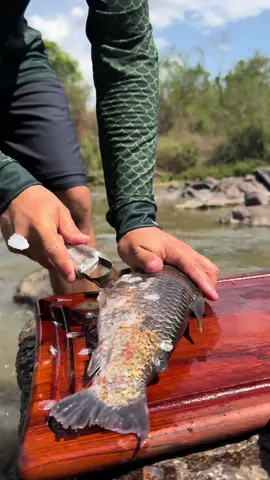 Se miorá, estraga.... Peixe assado com farinha, bem raiz  🎶 Pescaria- Gino & Geno Tempere o peixe com sal e limão, coloque pra assar!  Eu gosto dele bem suculento assim. Sirva com a farinha, ou qualquer outro acompanhamento que tiver vai ficar bão de todo jeito.  #pescaria #pesca #pescador #comidaraiz #pescariaraiz #food #comida #peixeassado #farinha #beiraderio