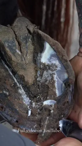 Satisfying Trimming! #foryou #fypage #farrier #horse #horses #satisfying #asmr 