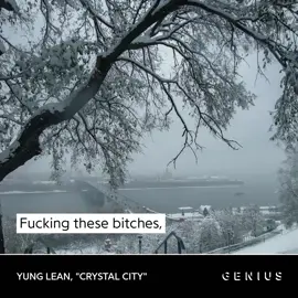 #yunglean #sadboys #bladee #draingang #dgsbe #thaiboydigital #ecco2k #crystalcity #frostgod #asapferg  #leandoer #dimseed 
