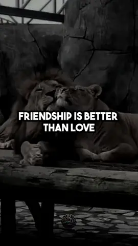 Friendship is better than love! #quotes #Love #friendship #TrueLove #better #relatable #trending #lovequotes #fyp #foryou 