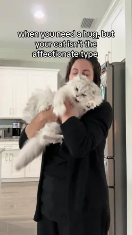 the battle i go through just to get cuddles #catsoftiktok #fyp #cattok #catvideos #fy 