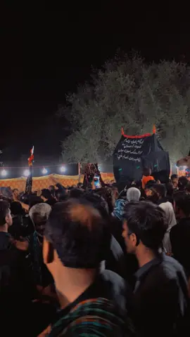 Qafila Aseera s Sham. 🏴 8 Rab ul awal Sehwan #fortoupage  #sehwan #azadar #shia #nadeemmubarakofficial #viral #nabeel 