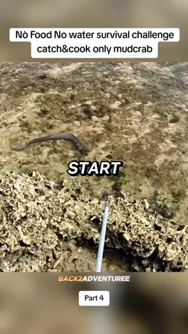 My food always run from me part 4 #survival #camping #Outdoors #catchandcook #solocamping #mudcrab 