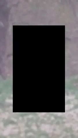 Consort's Mask Falling Off, Consort, Mask, Power#fypシ゚viral #fypシ #drama #cdrama@weiaivideo 