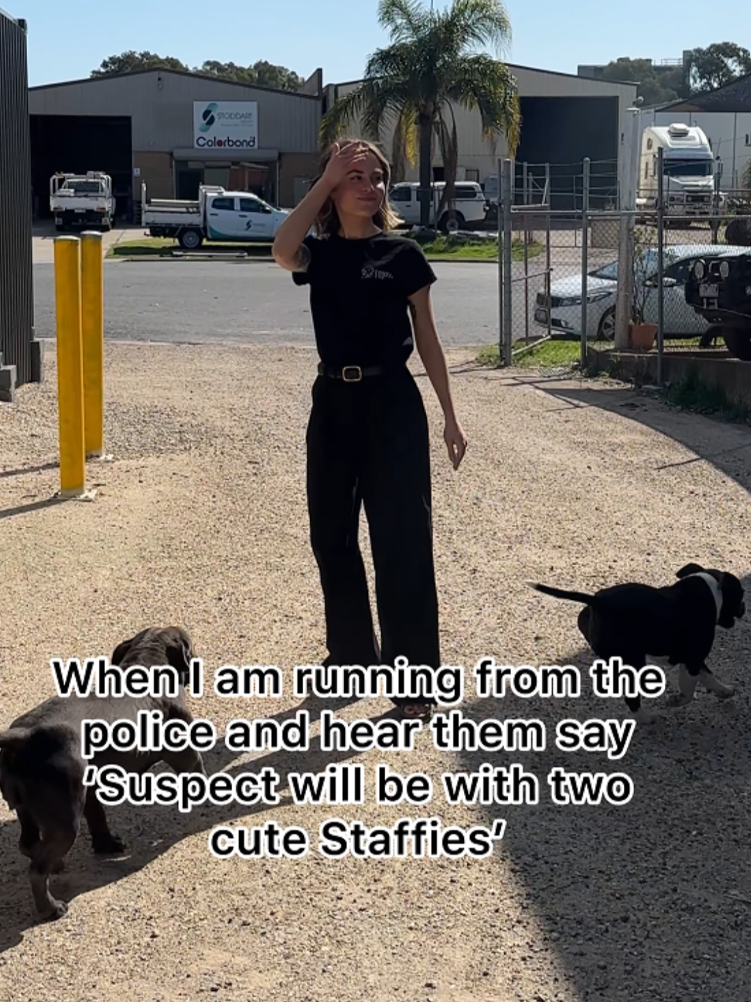 Can’t argue with that 🤪 #police #suspect #dogs #happystaffy