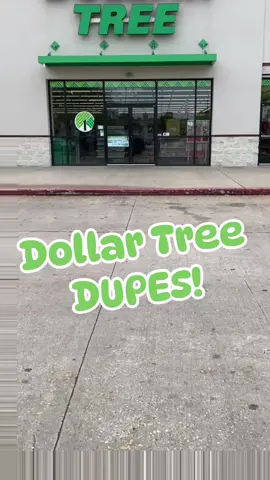 Dollar Tree DUPES!  #dollartreefinds #newfindsatdollartree #dollartreedupe #dollartreenewfinds @Dollar Tree 