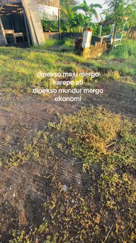 Jian tak berdaya